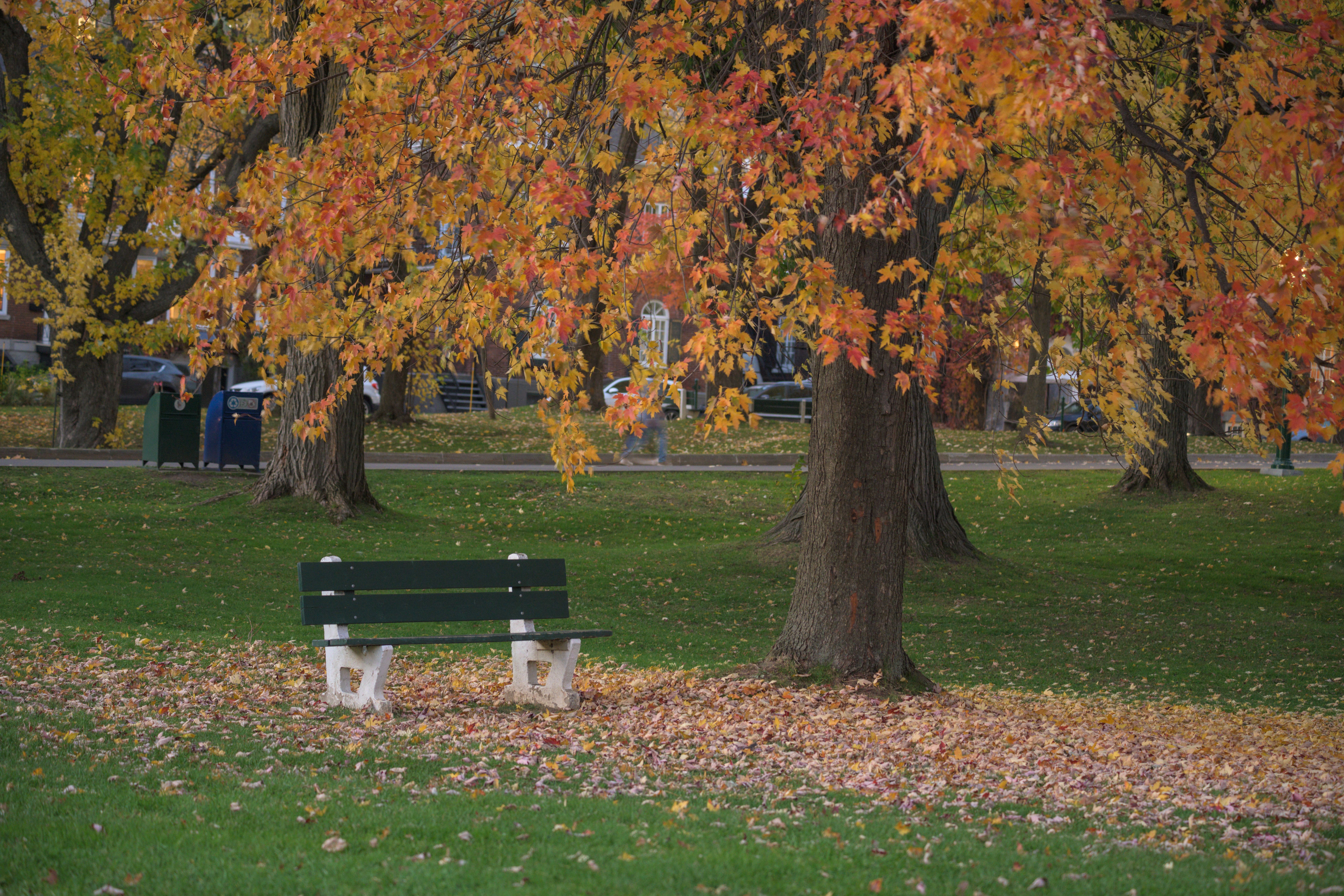 Blue Autumn Digital — websites for restaurants and small businesses